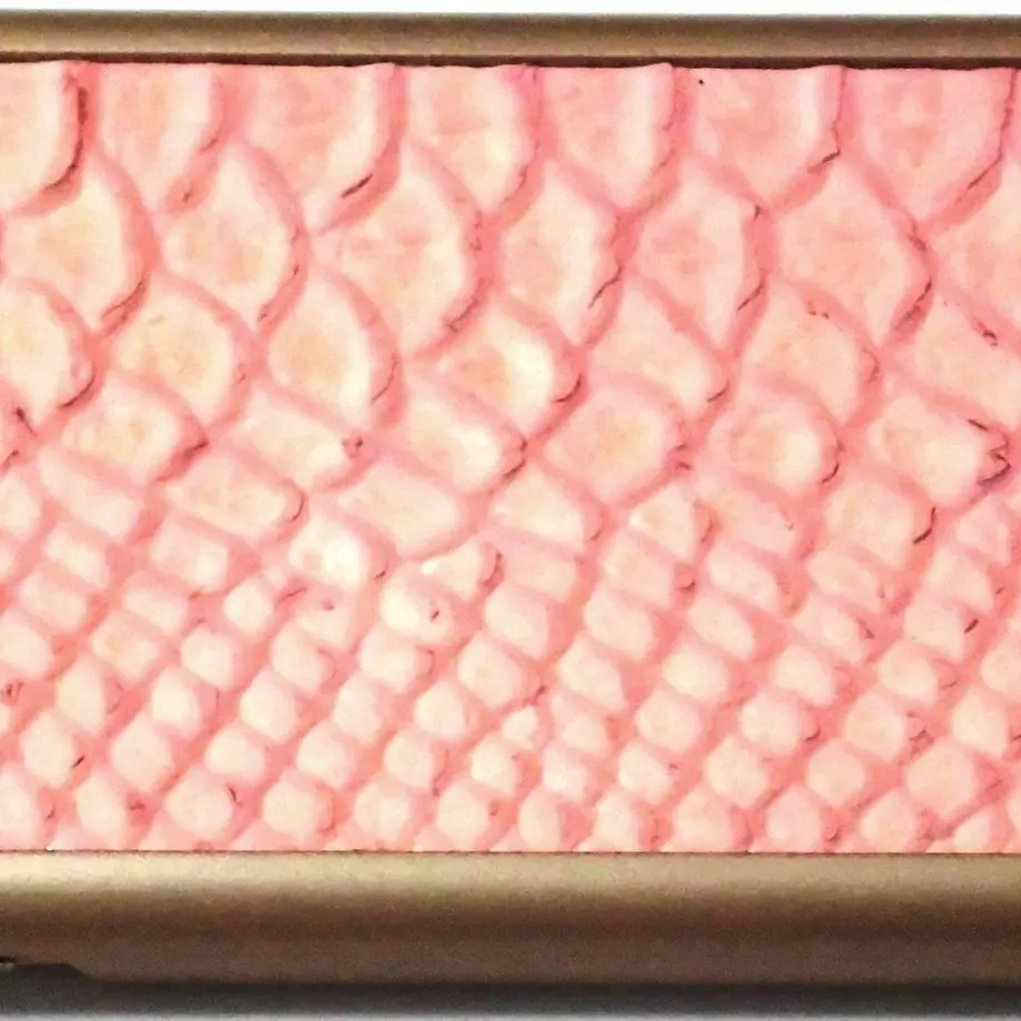 567df5ecef3377002a007c02