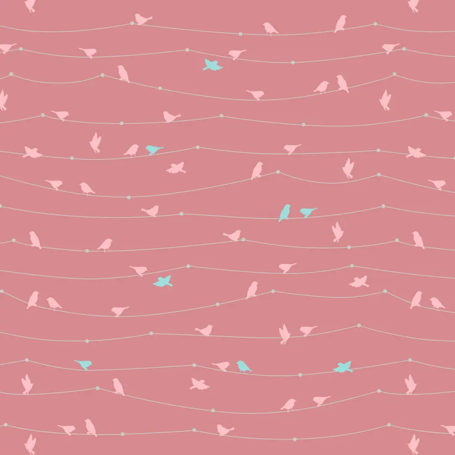 57ba64a499c3cd81ec008700