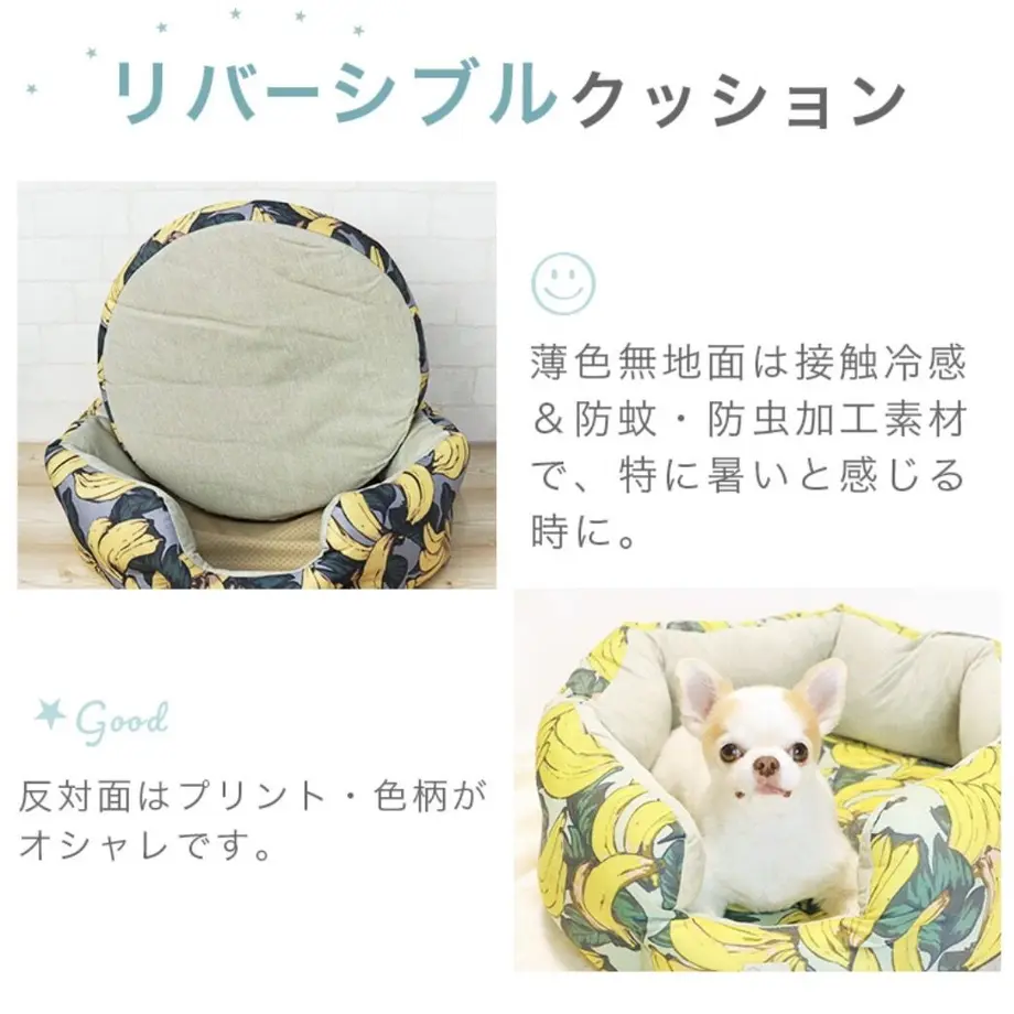 623d735b65d2a3289ace7d49
