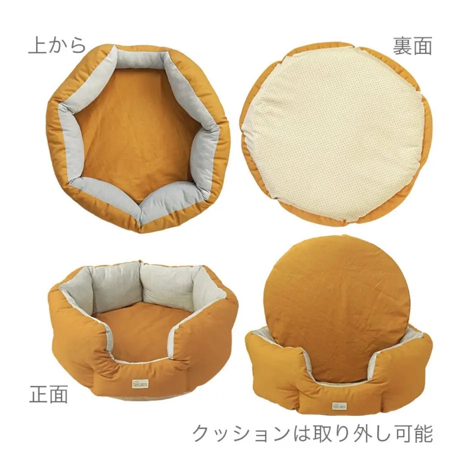 623d735b65d2a3289ace7d49
