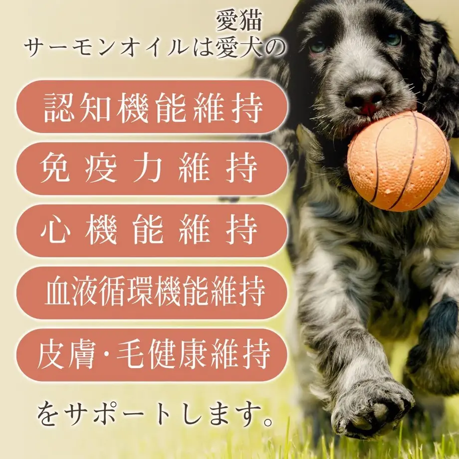 63c103099d284269e7f635ed