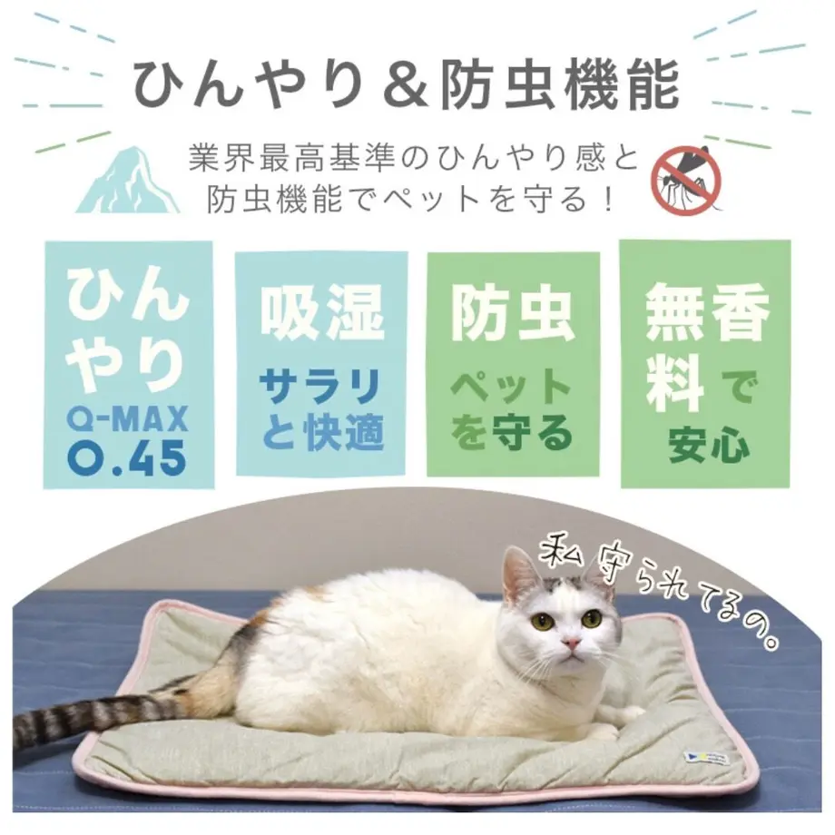 626252d79fe3d73a577d5ca0