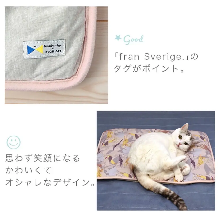 626252d79fe3d73a577d5ca0