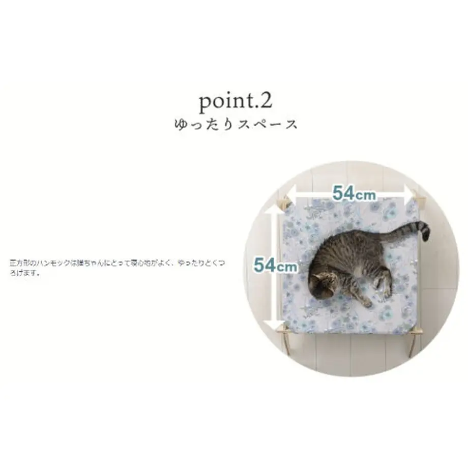 626257b1719e8e75a76b6ddb