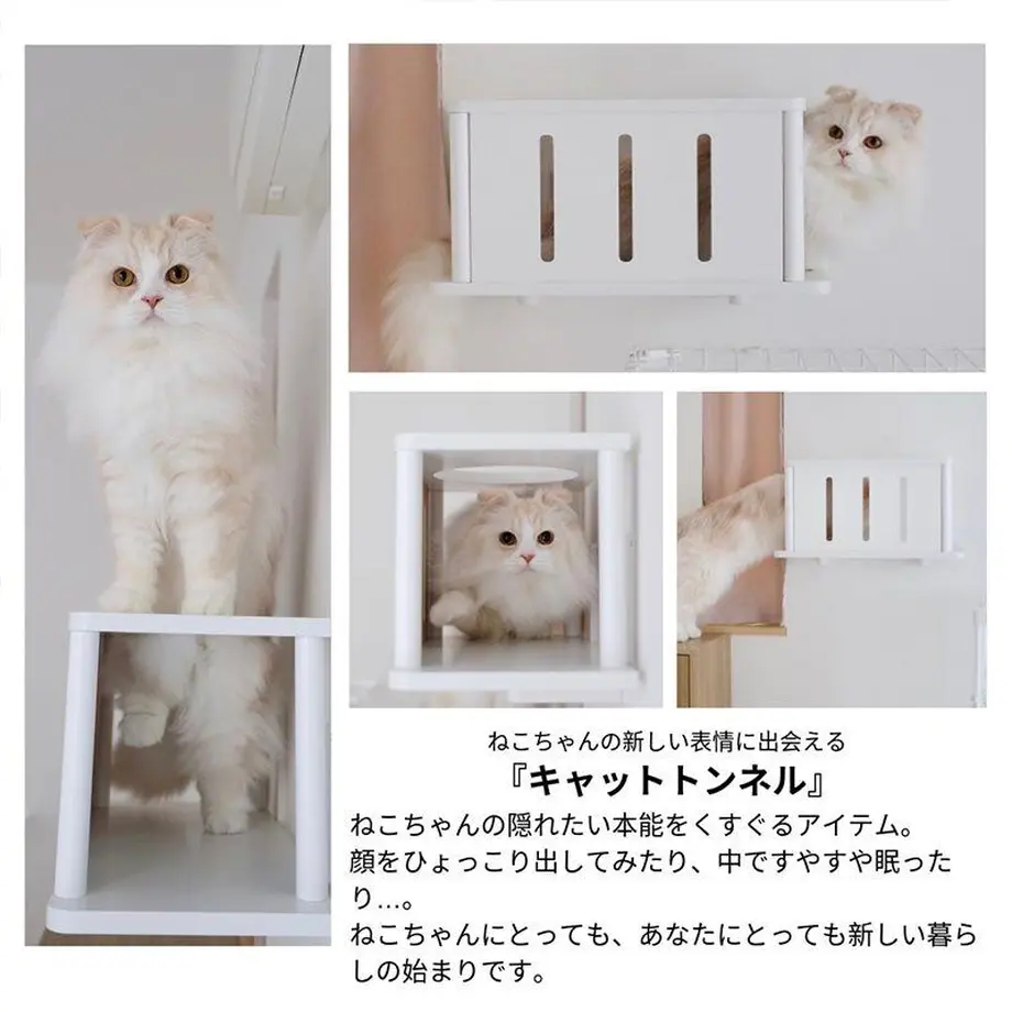 631aa978ed4ab07dce6d331a