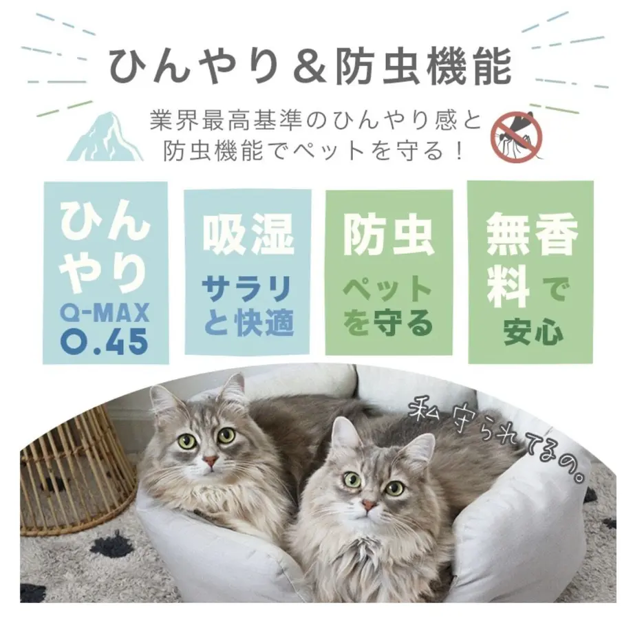 623d735b65d2a3289ace7d49