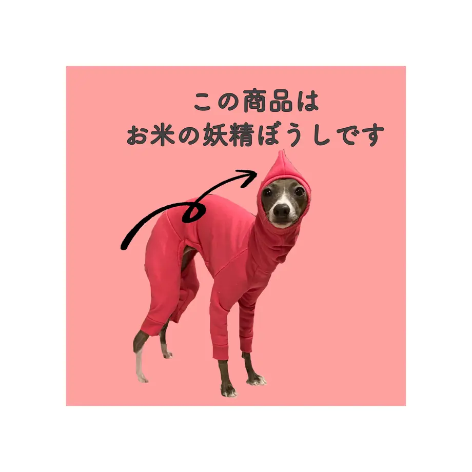 6052cdae9086542b20775a60