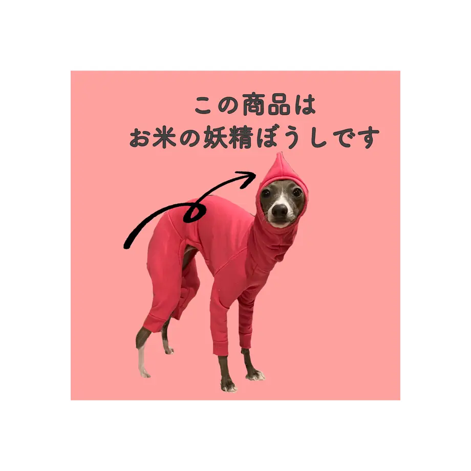 6052ca29a11abc5324473579