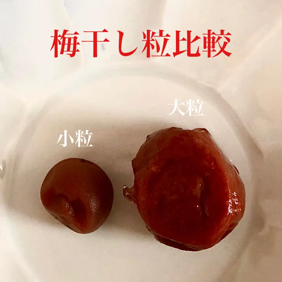 5f55d9343475ed51c4695a04