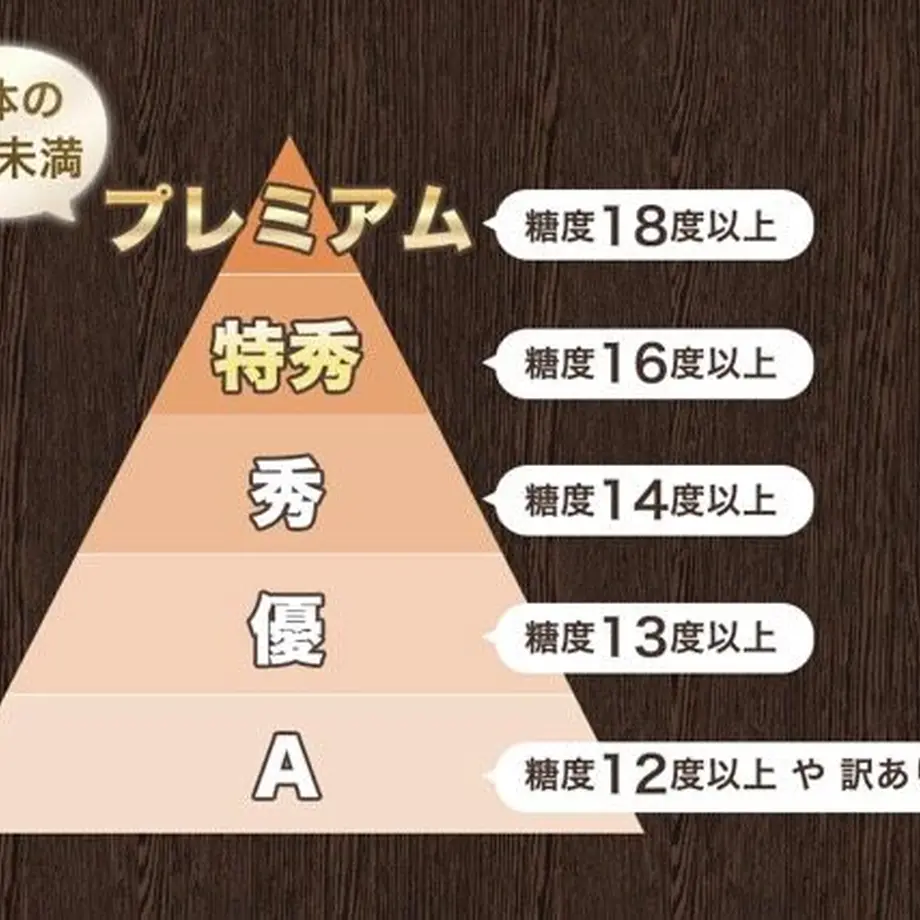 5ee16aeccee9ea4a941f2e6c