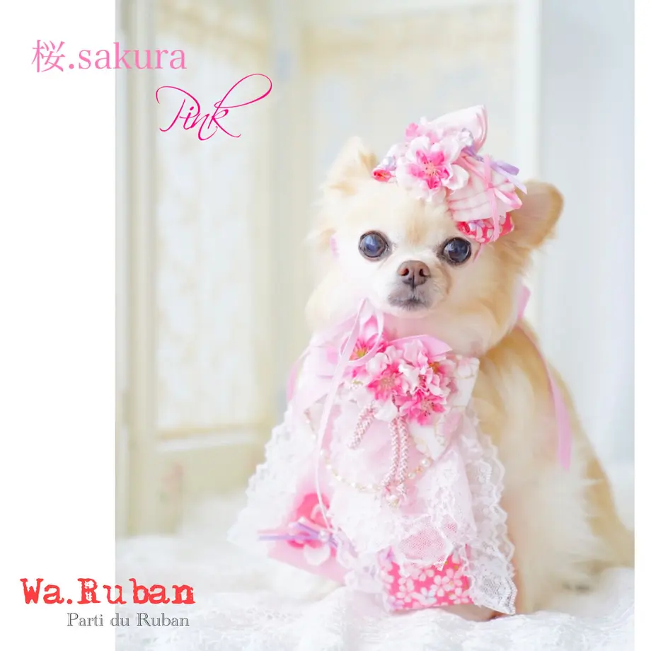 5fab6d9772eb460dca3f5fbc
