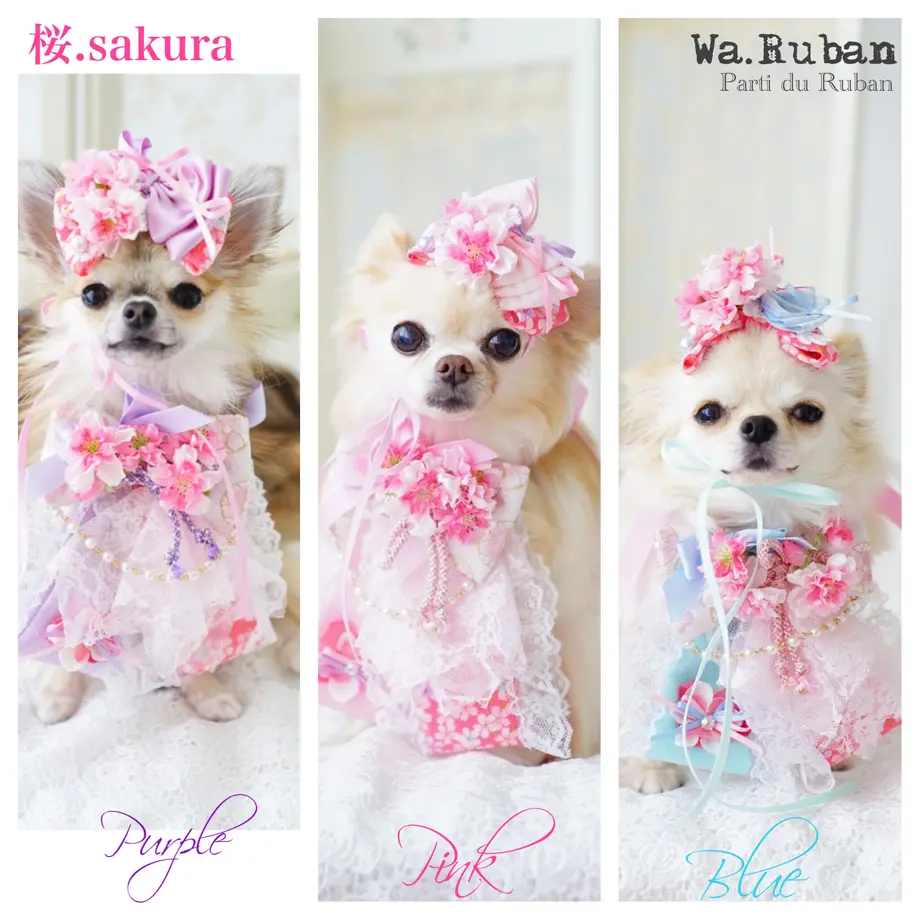 5fab6d9772eb460dca3f5fbc