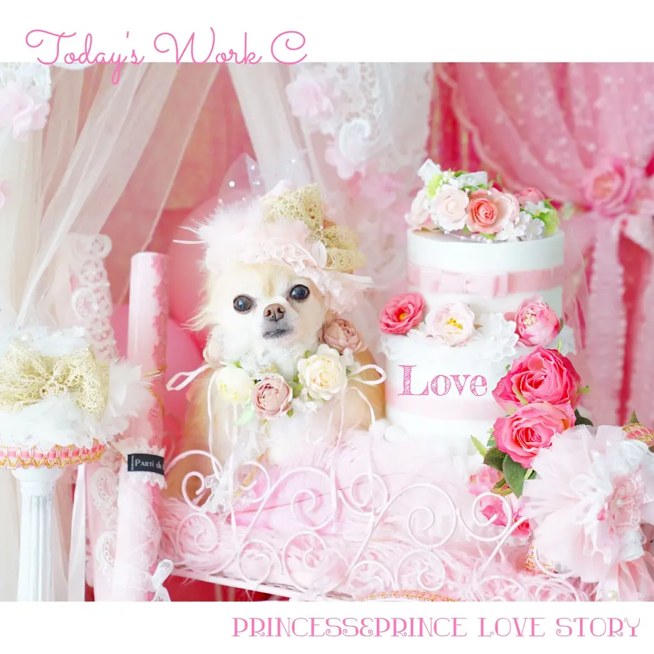 5c32b16cc2fc2860c8505d3e