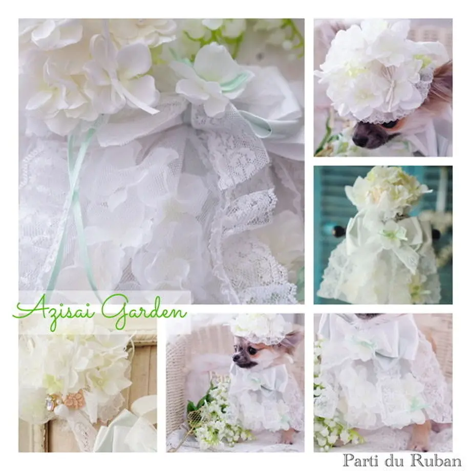 5eab49a555fa033362d57d7f
