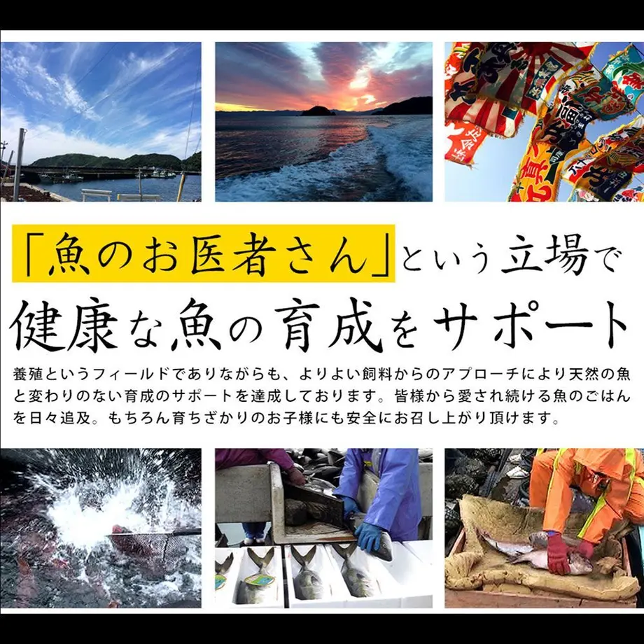 5fb6e5d78a457273e3b9a1a8