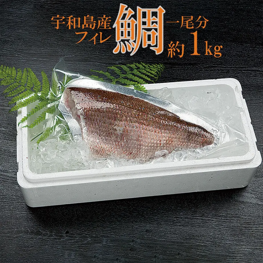 5fb732e772eb4656a70bfc06