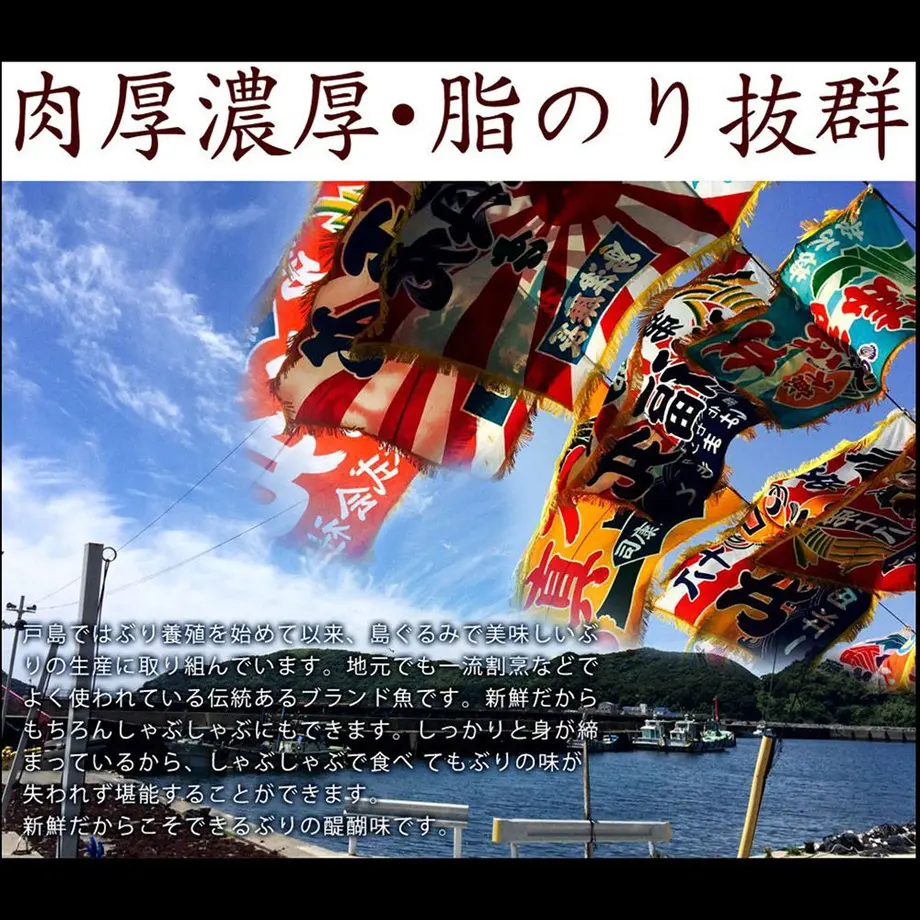 5fb6e5d78a457273e3b9a1a8