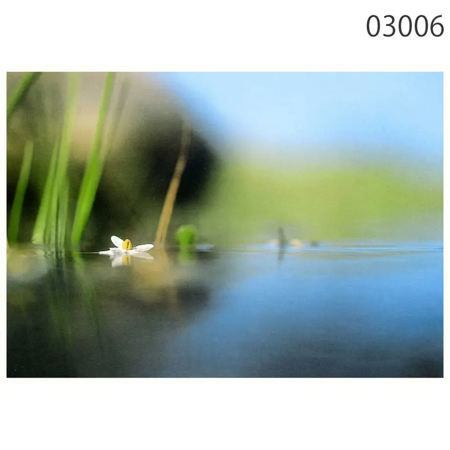 5bb76fb905eeba792a00011e