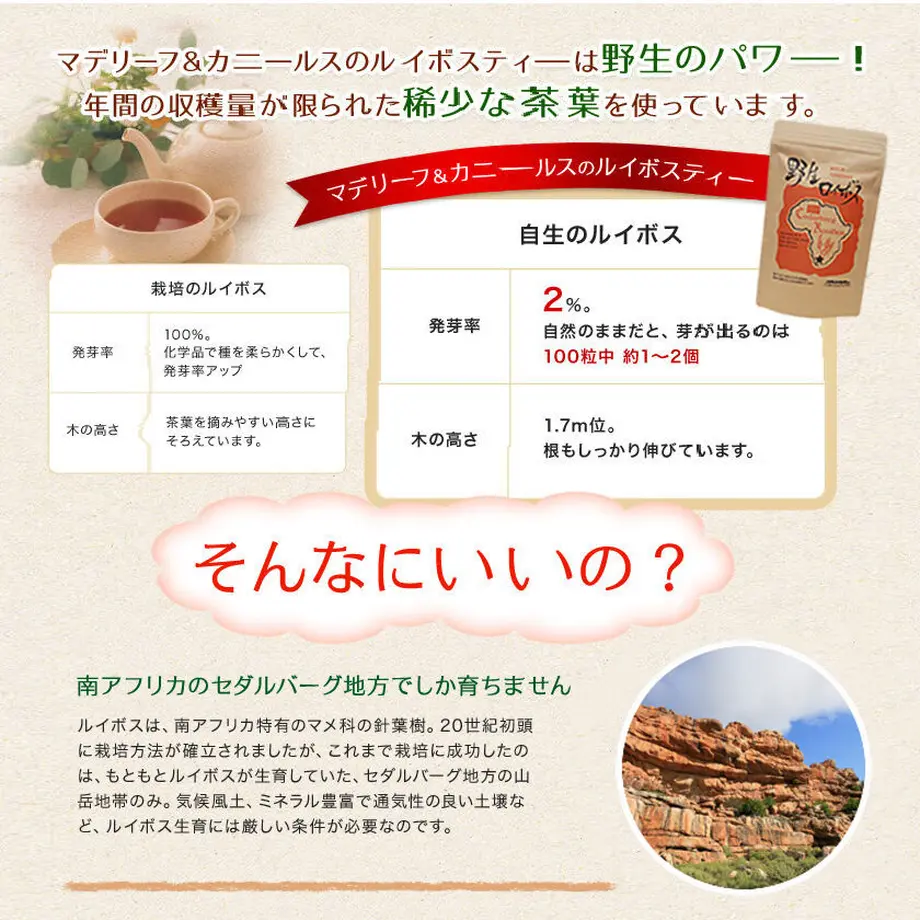 618d2659c15c5a15f6ed24d9