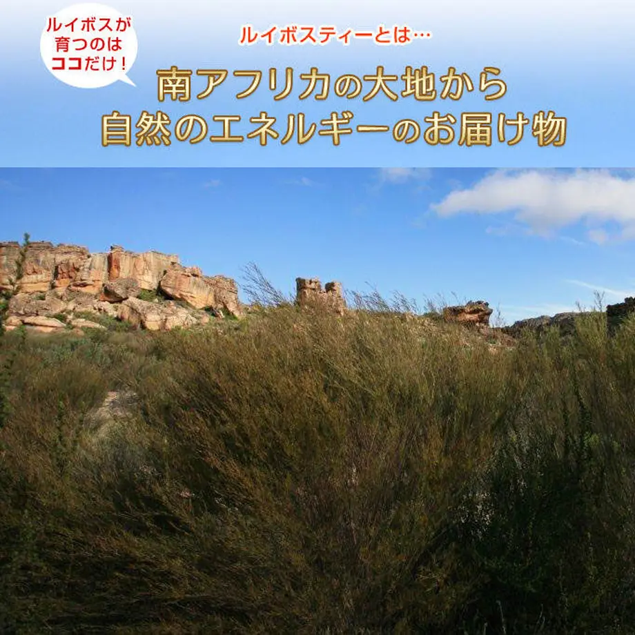 618d2659c15c5a15f6ed24d9