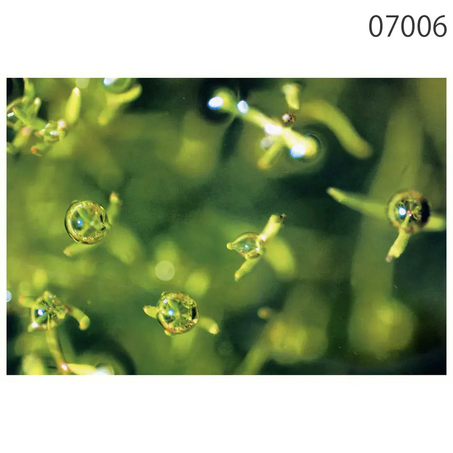5bb76fb905eeba792a00011e