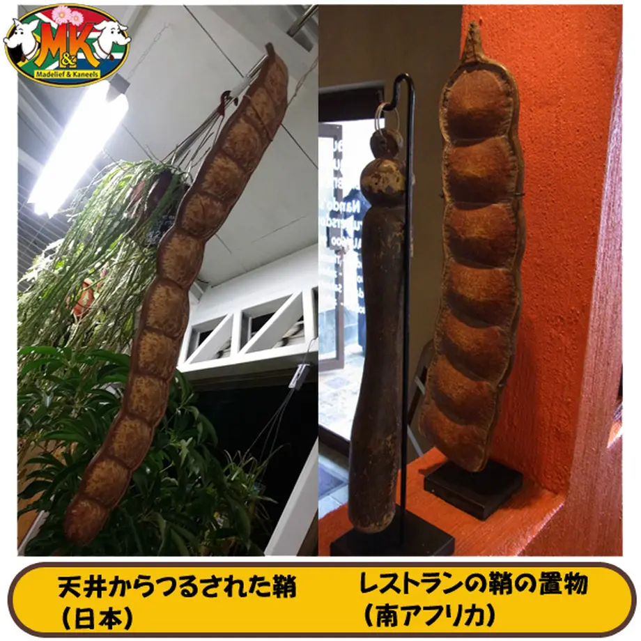 5d5a993a05721f3d9309f4cb