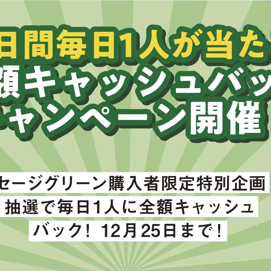 5f3b8118d7e1d85a0afb6b56