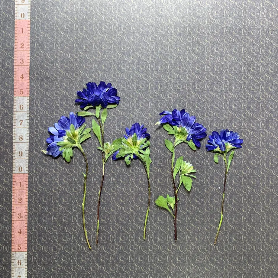 62b184070536244cc6e51256