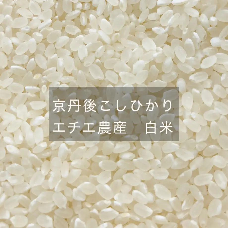5dd7b2ee4fb6c7412f3fcc27