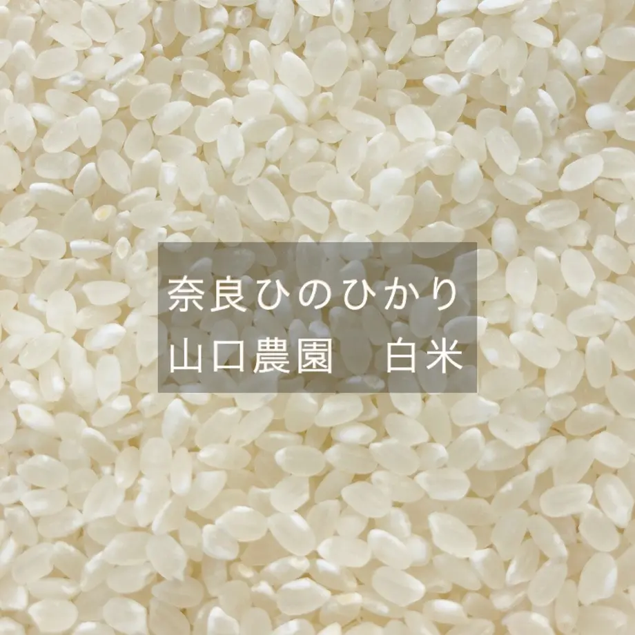 5fe4681ada019c2f5d9c97d8