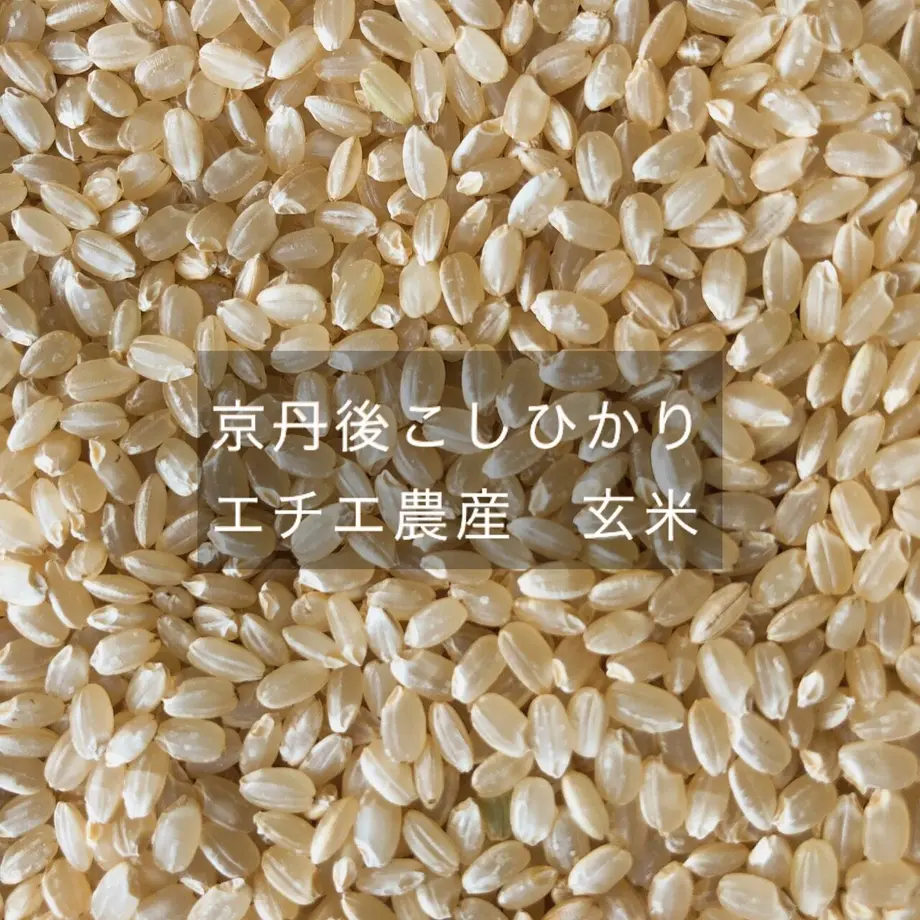 5dbc01f1bc45ac055dd43fca