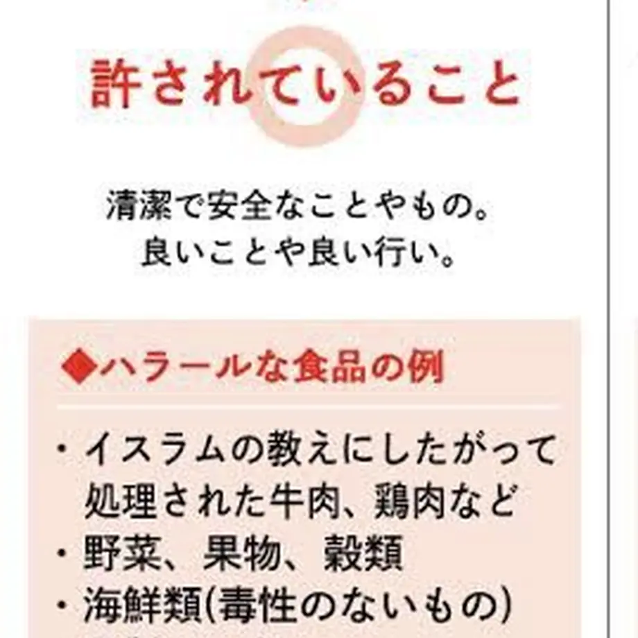 61b6ce8b3475ed3b71e1162b