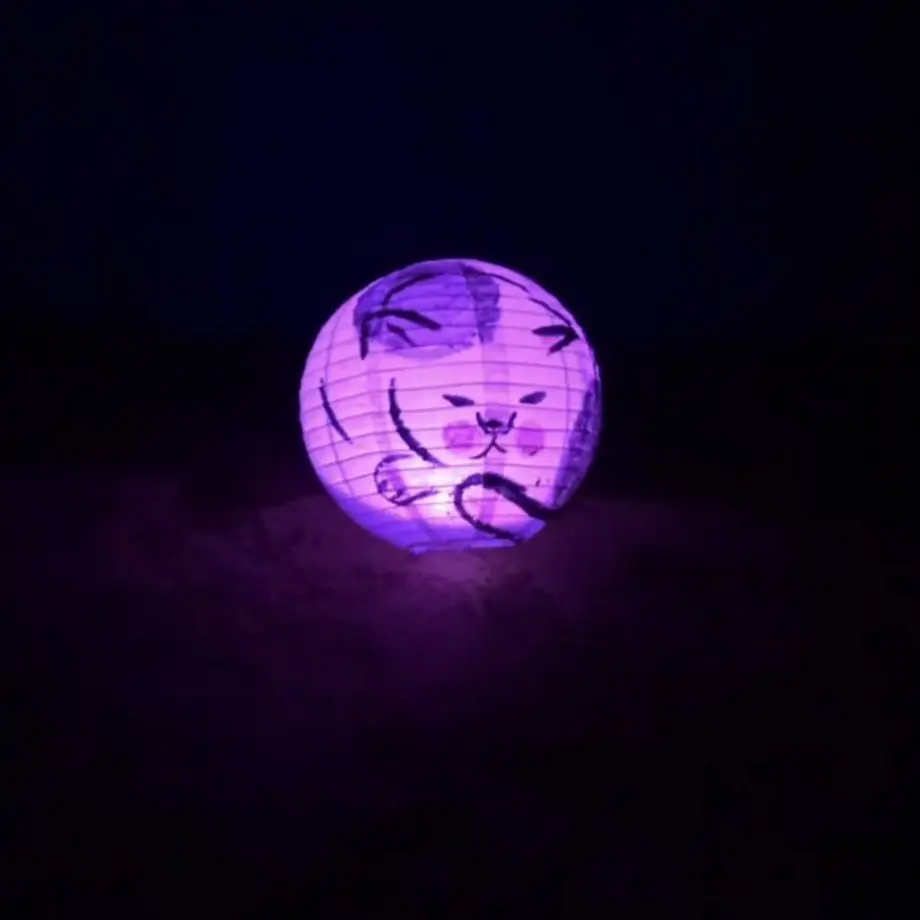 5c0d1a617cd361322b28e804