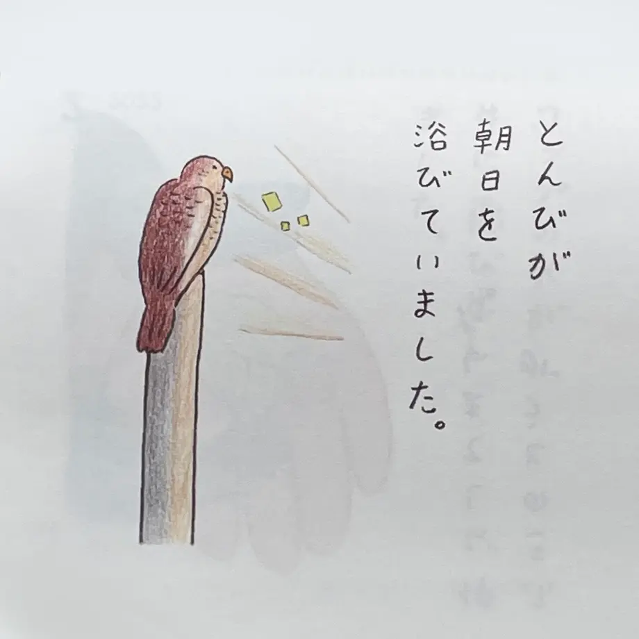 616e4e6754ddd8556007d147