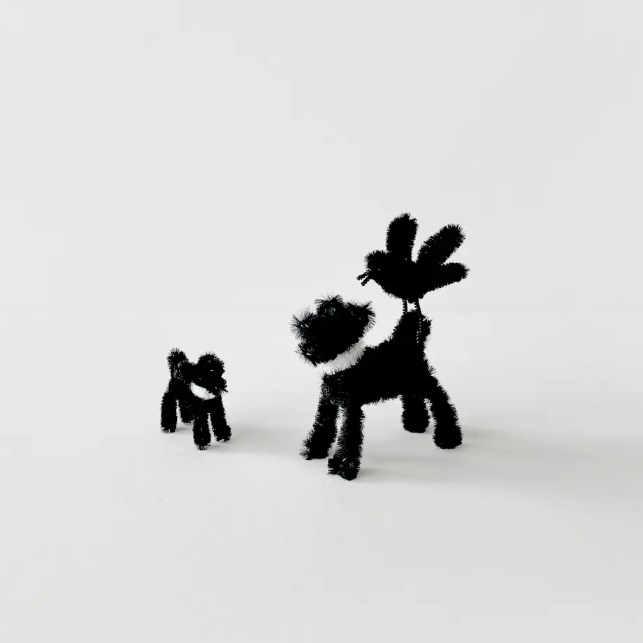 6329533c23747f016b4563e5