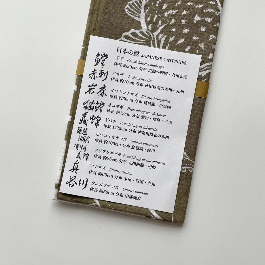 6172b8ebc15c5a2afccd059d