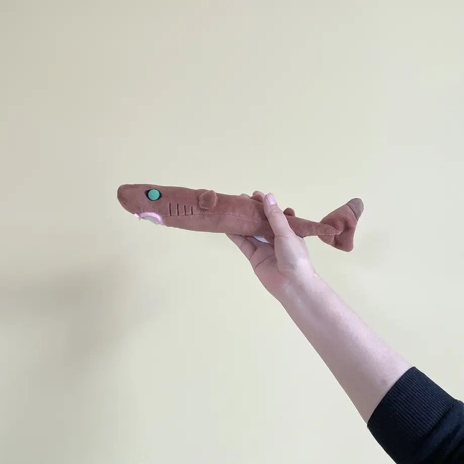 639063c00c94e4079f040250