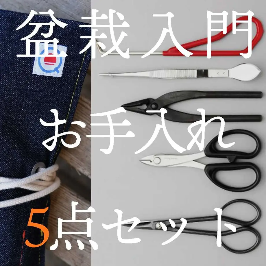 615446d52305570e3aff2749