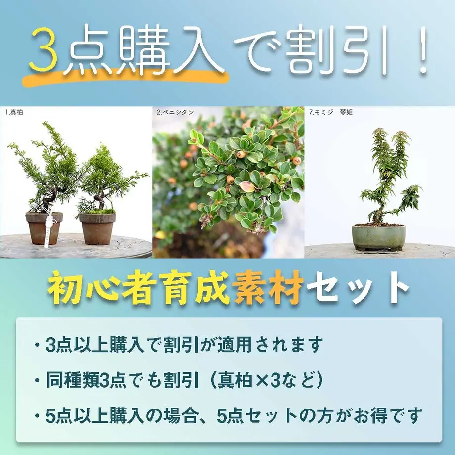 613aecba784e3f198c7409db