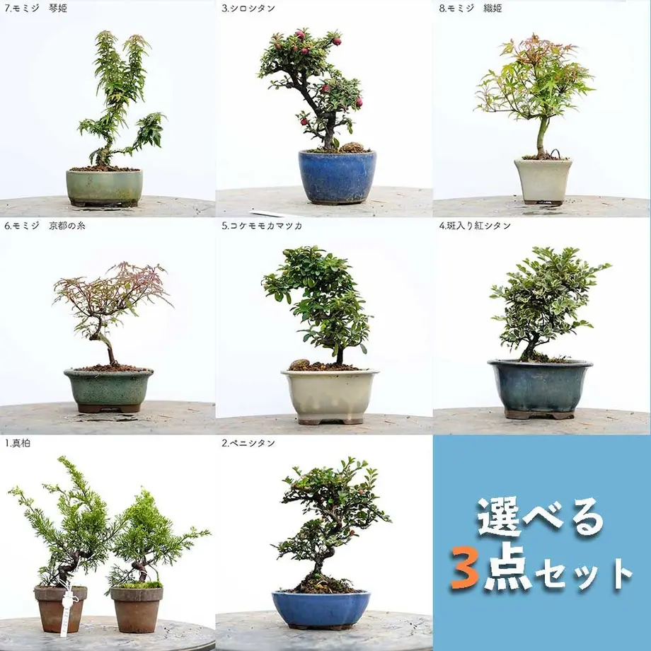 613aecba784e3f198c7409db