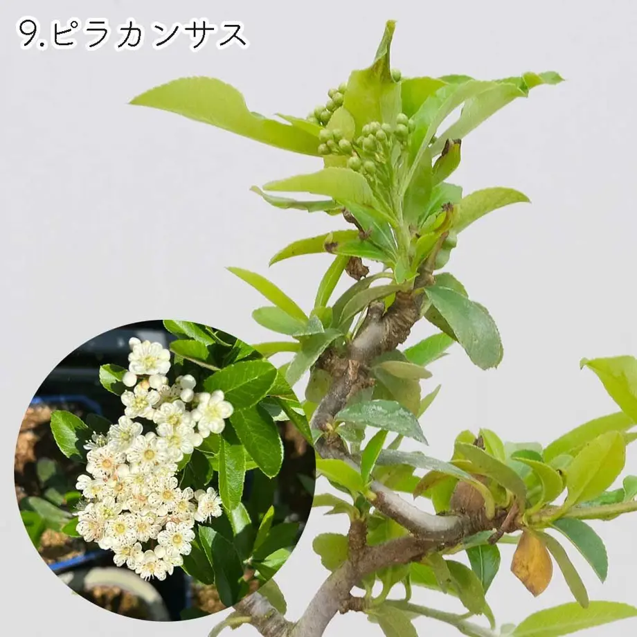 613aecba784e3f198c7409db