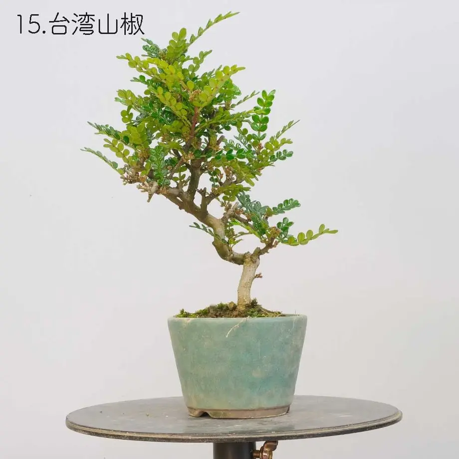 613aecba784e3f198c7409db