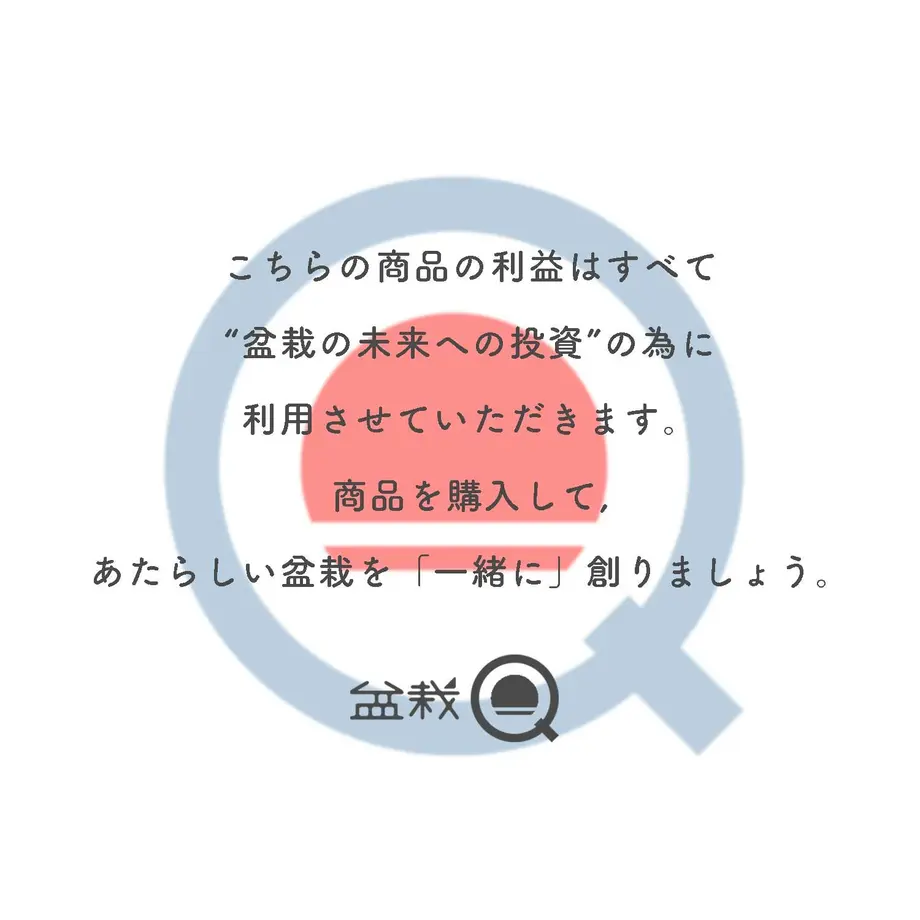 611a32582b2d3d79c593c10b