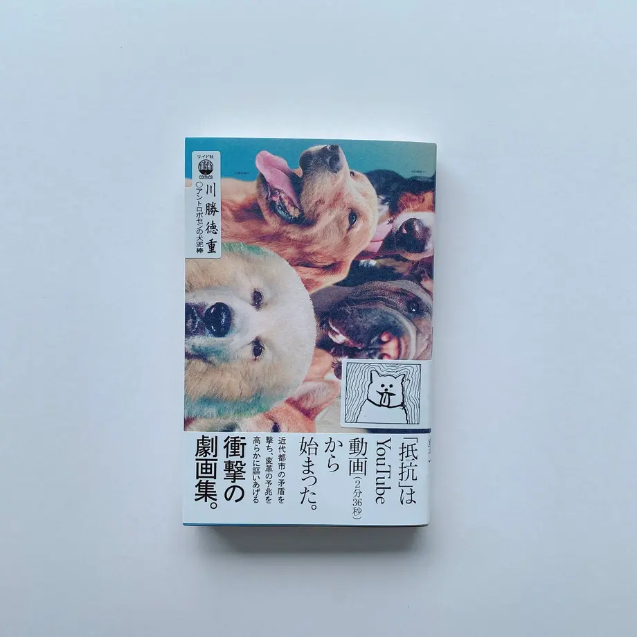 61397f1de1fb4c66e51c2584