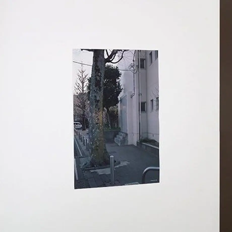 613b1763784e3f2ec774087e