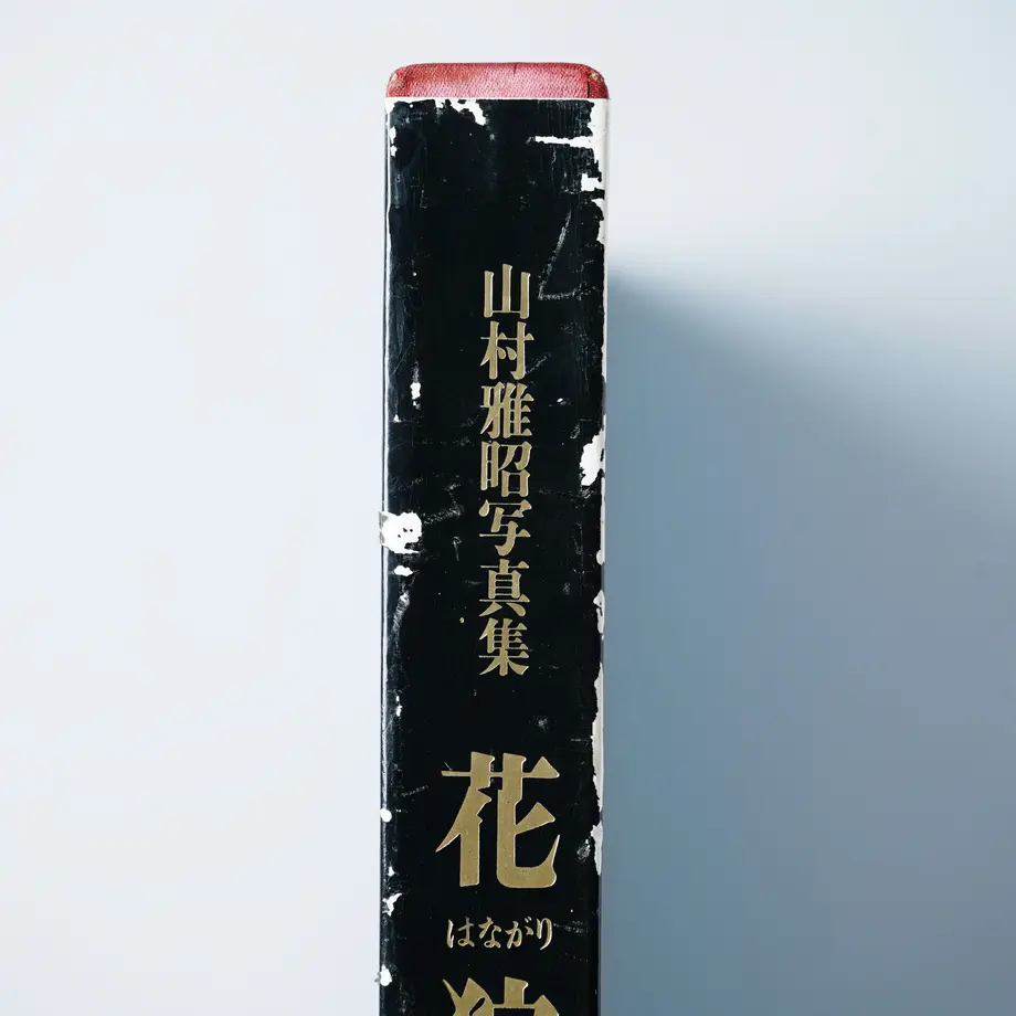5d47a1ce66d86c4dec03e68e