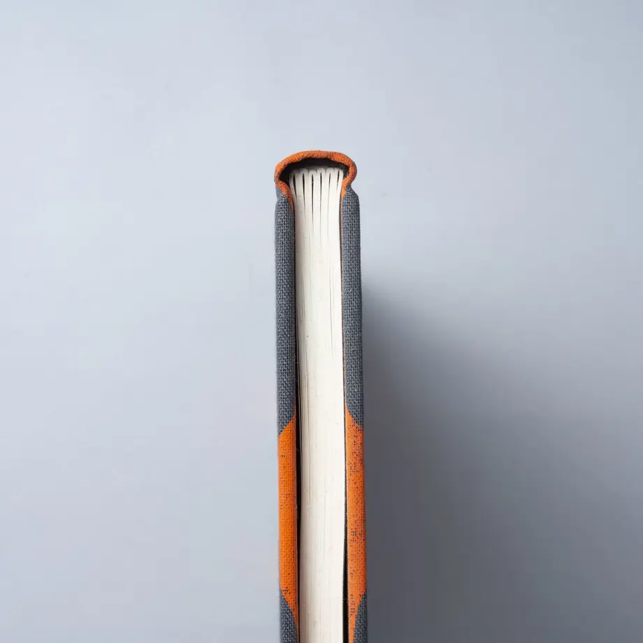 5e9d1ca834ef017aa356026b
