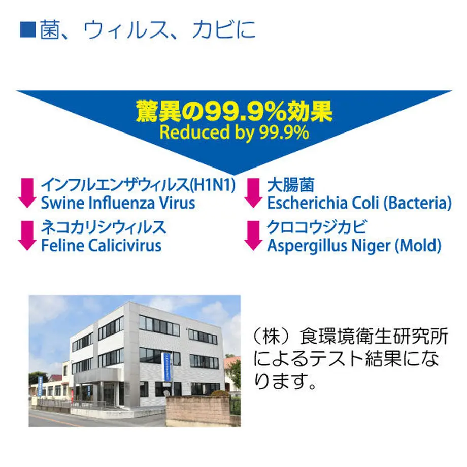 5ffbe2ddf0b108050a0fbc5a