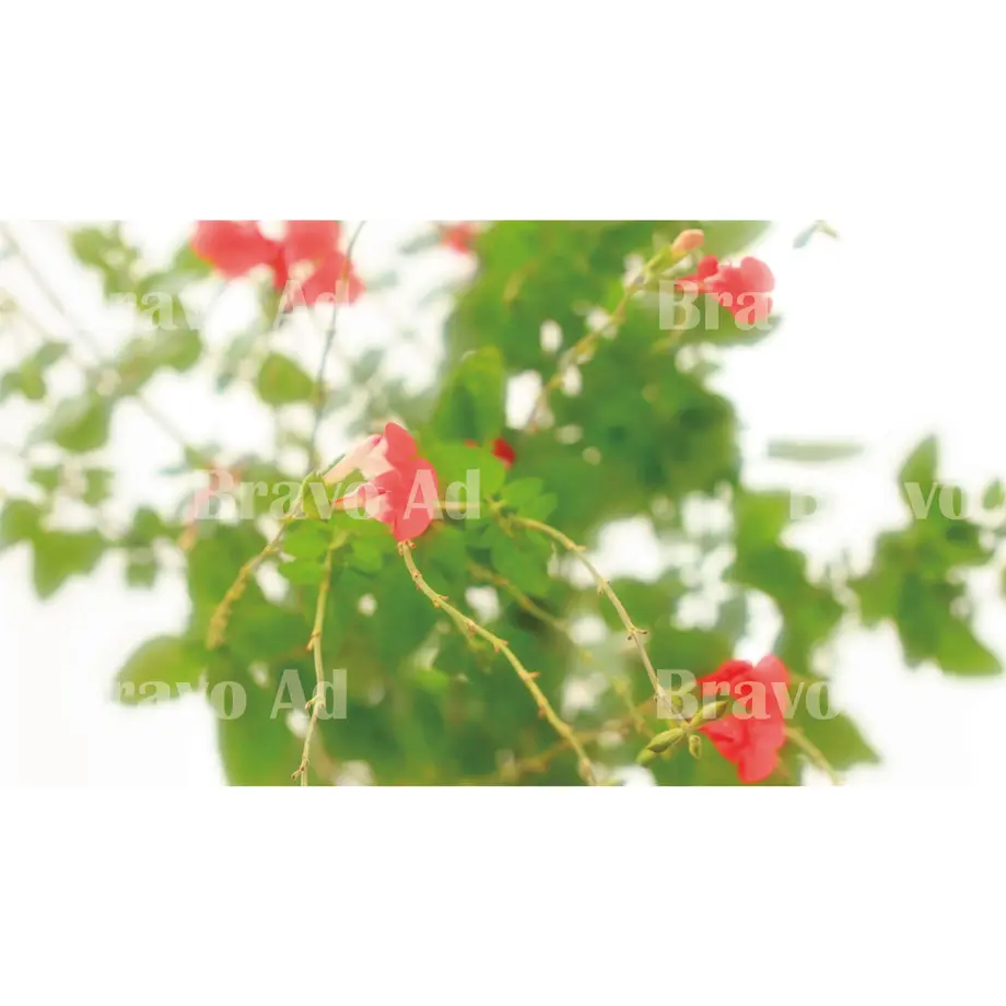 5ec1112155fa03082271360f