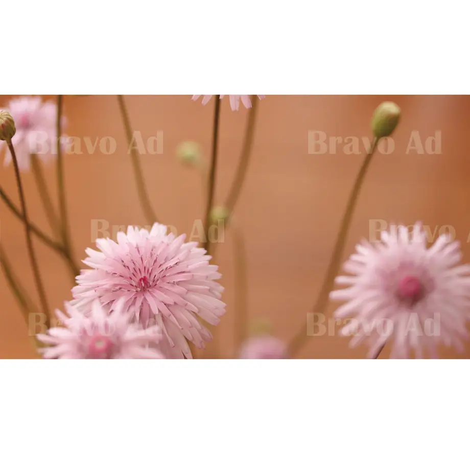 5ec112e655fa0344ab71417d